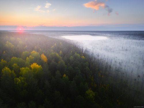 Туманная долина болота Ырымнюр