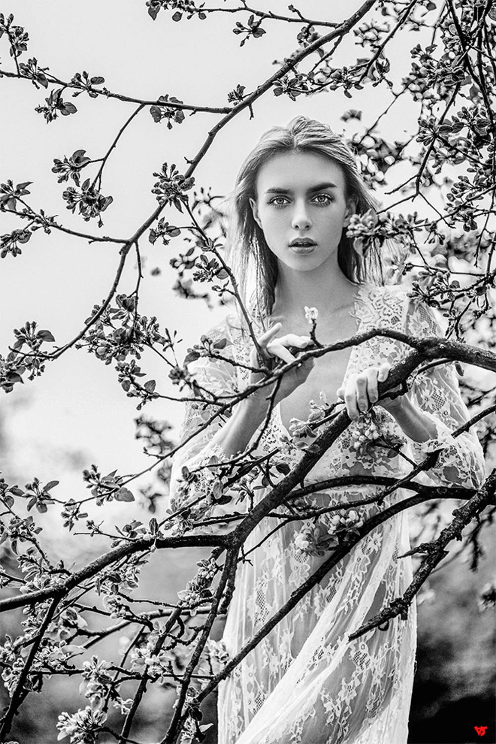 , АЛЕКСАНДР САВИЧЕВ