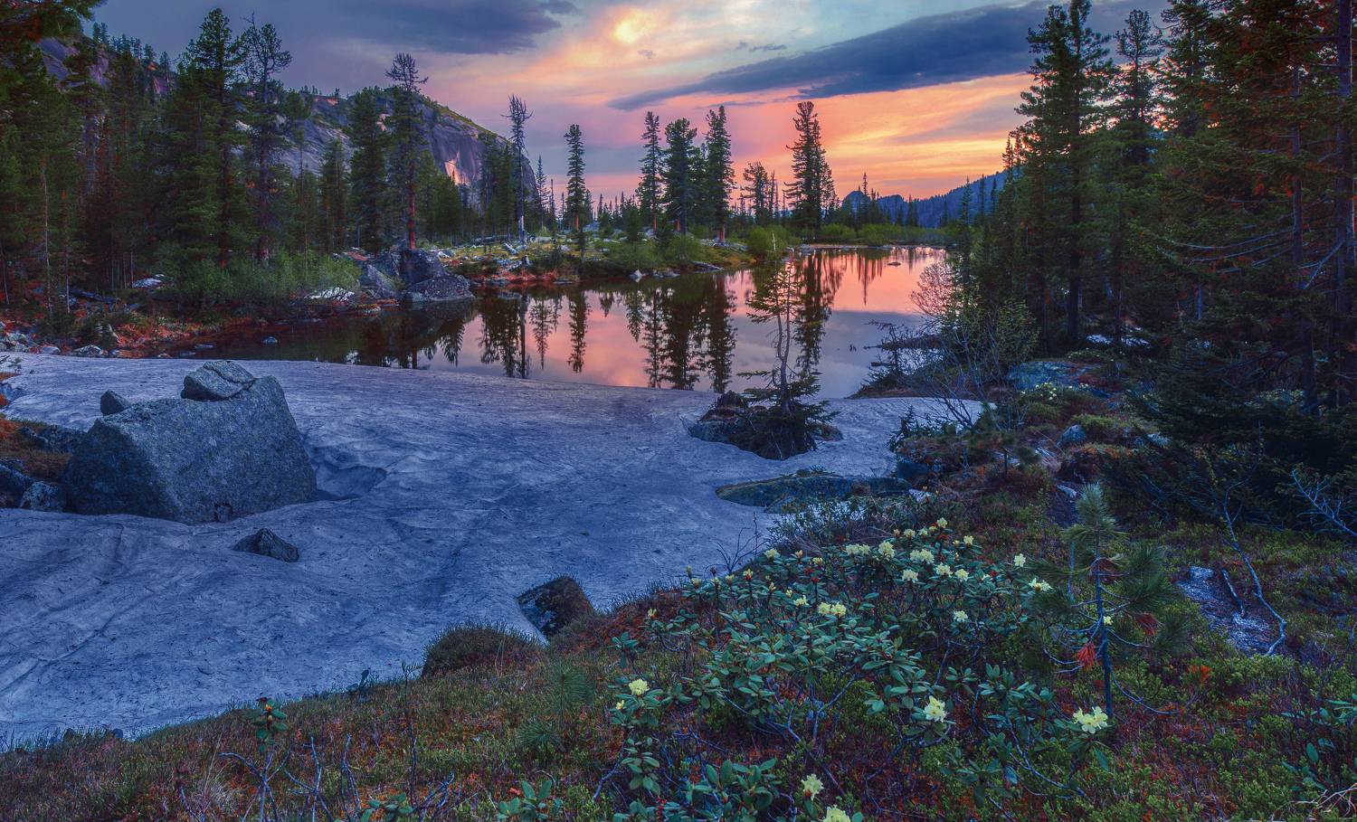 , Алексей Кретов