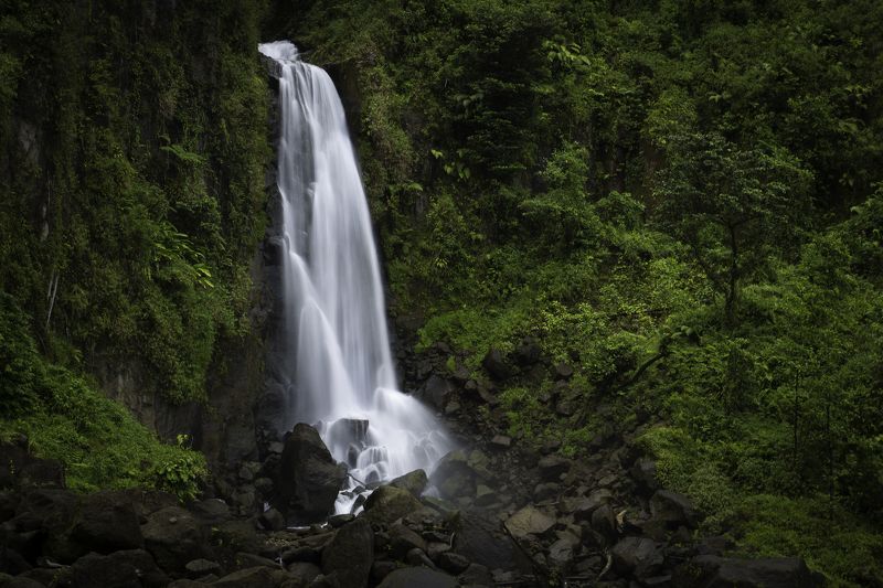Trafalgar Falls, Dominica фото превью