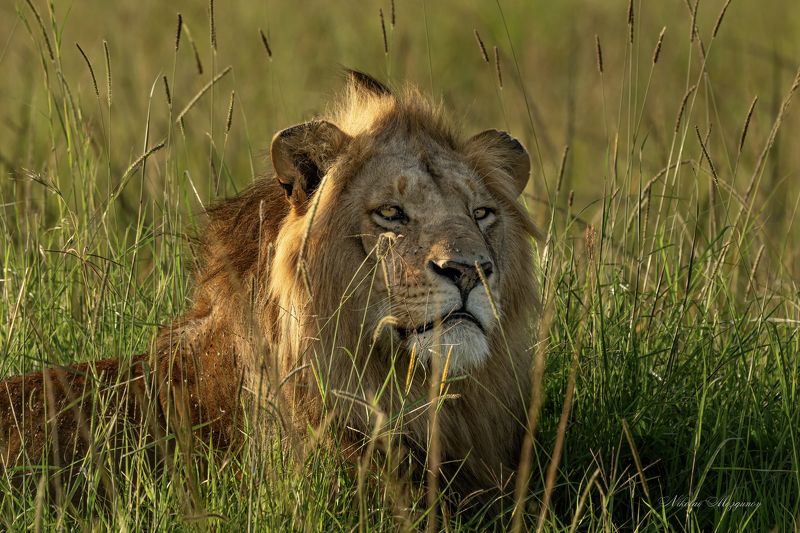 Пора и отдохнуть... фото превью