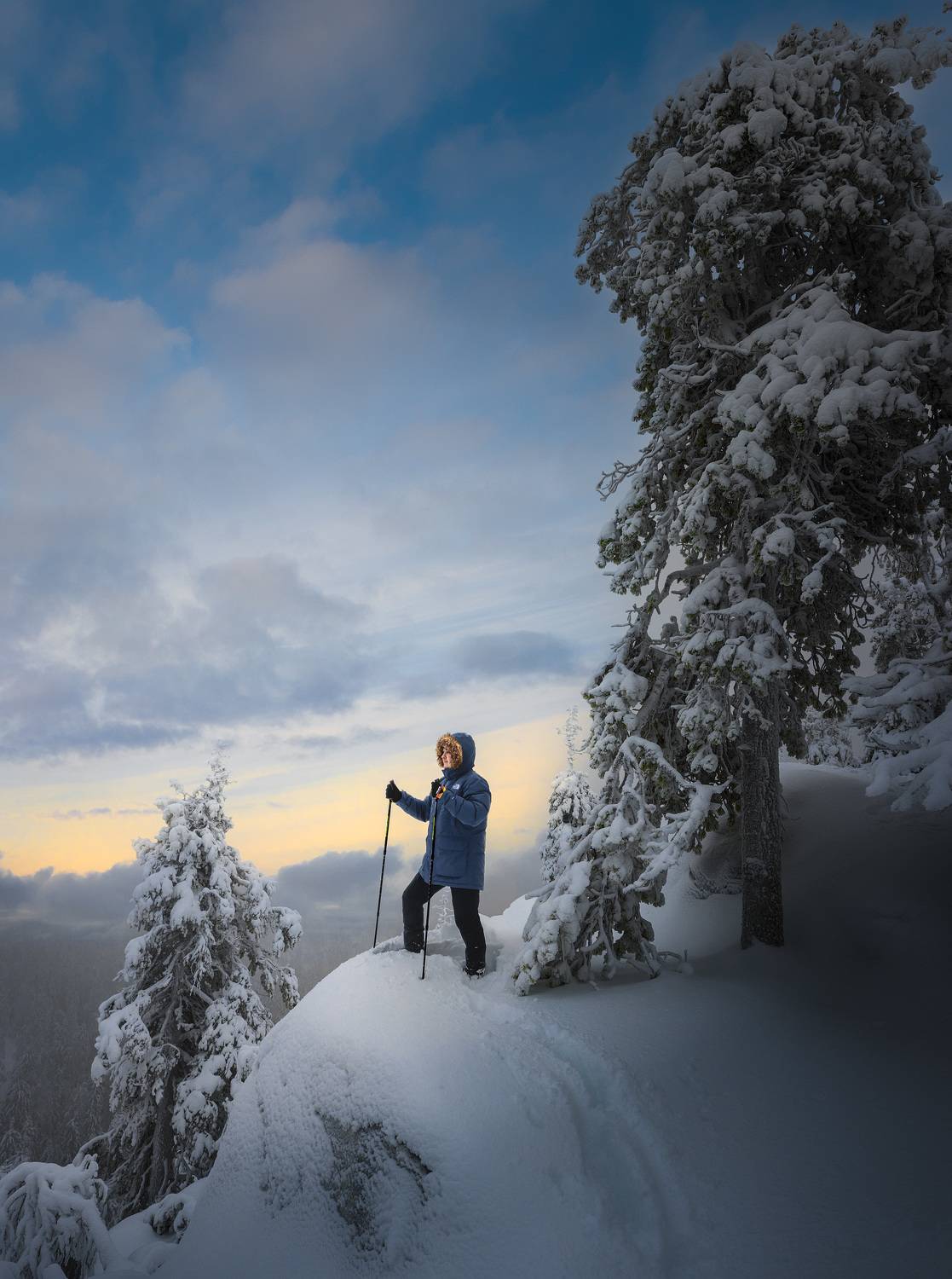 , Андрей Овдиенко