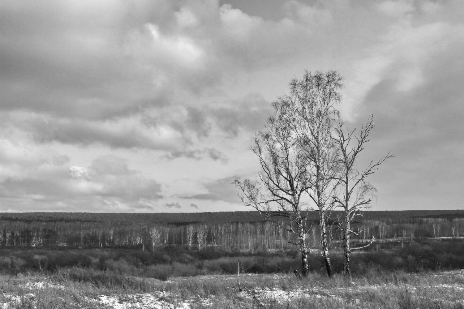 , Гагик Мхитарян