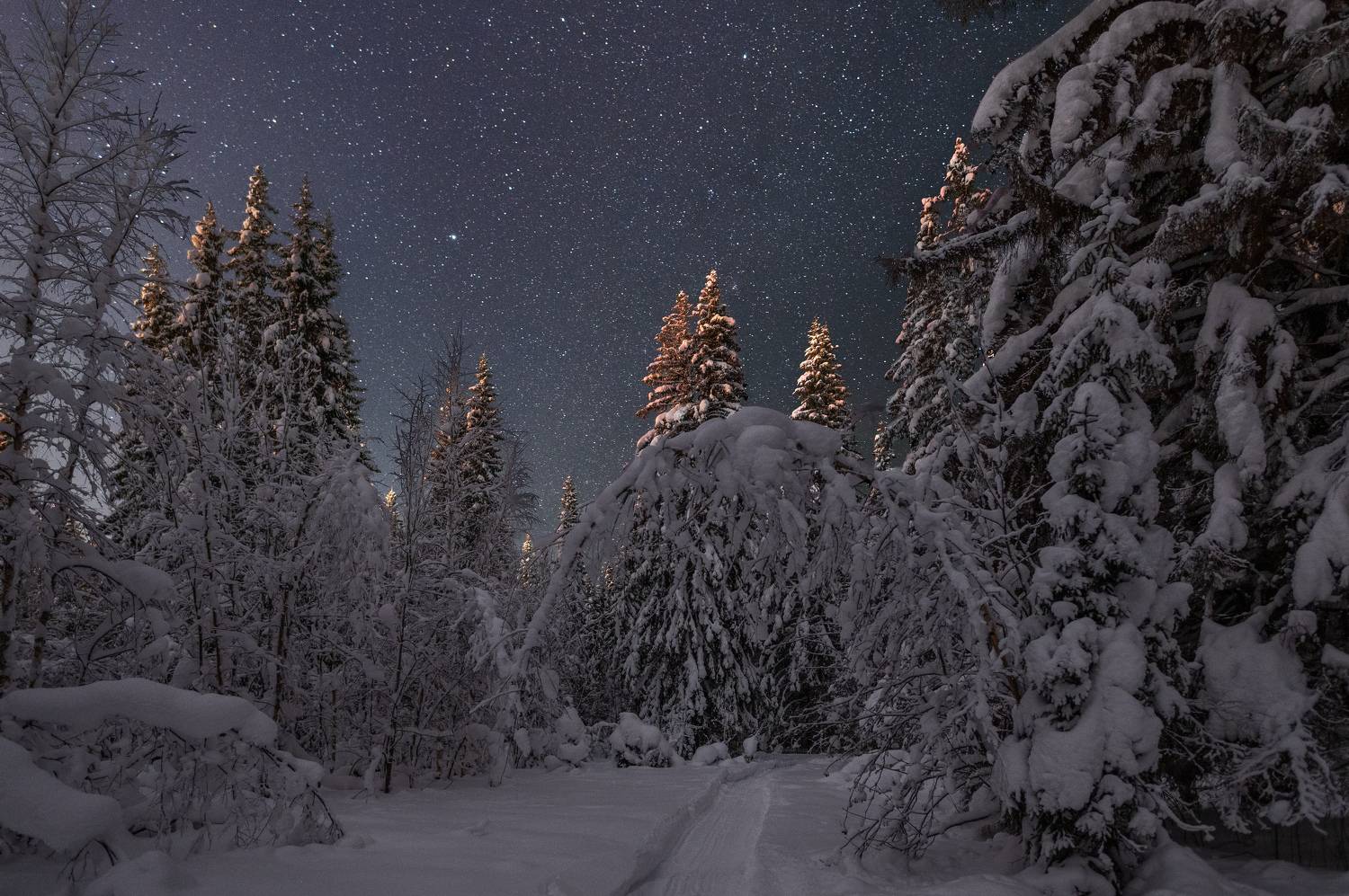 , Алексей Турчин