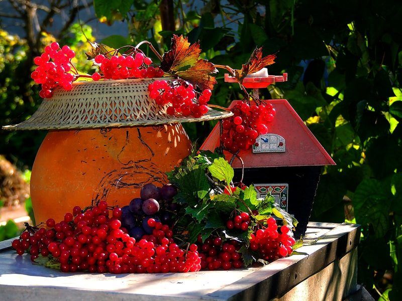 фото превью