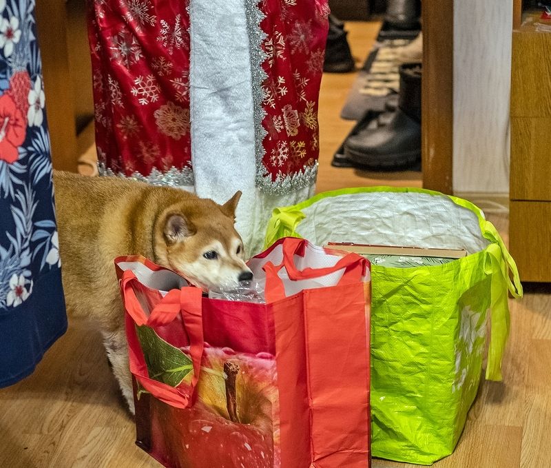 Таможенный контроль фото превью