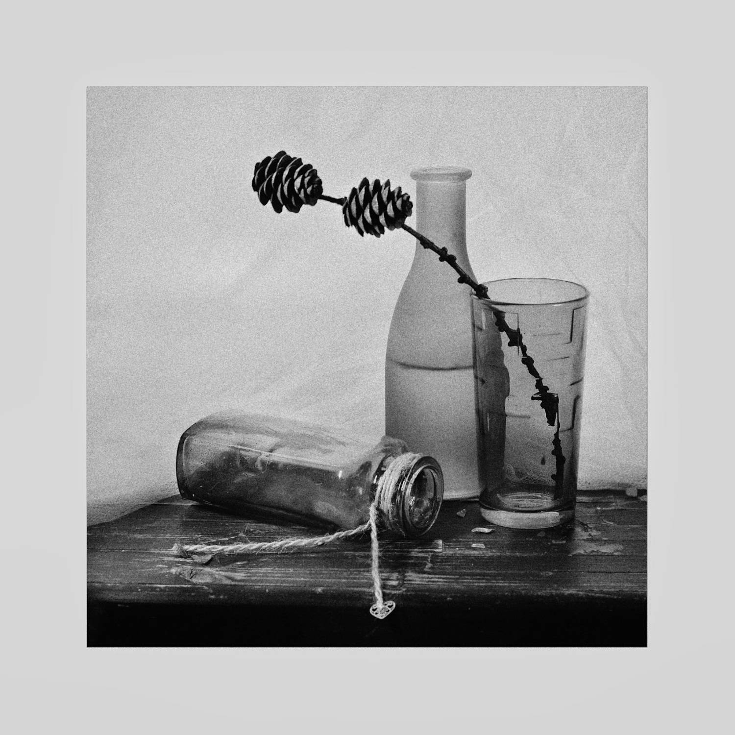 , Ирина Данилова