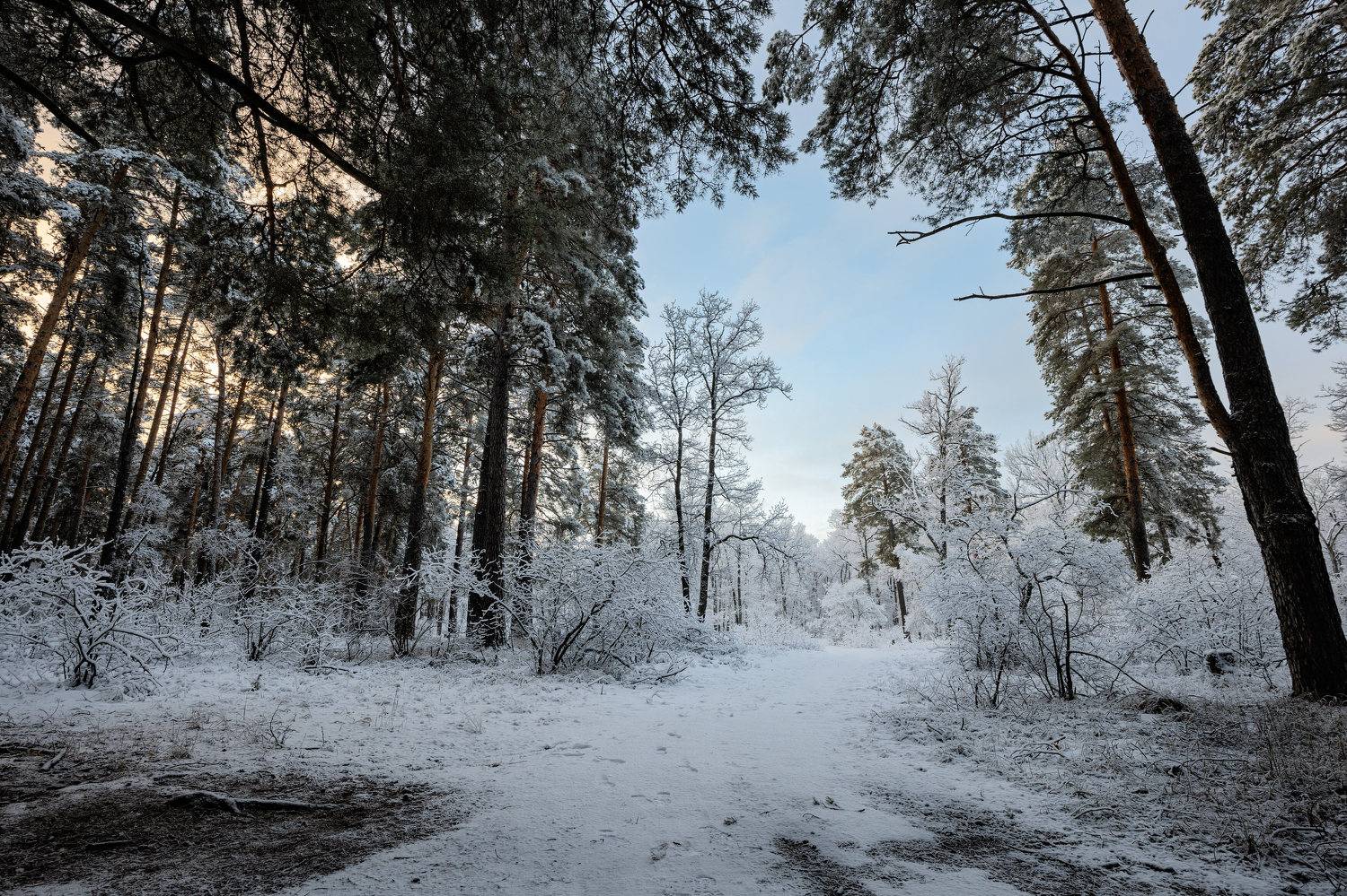 , Александр Бредихин