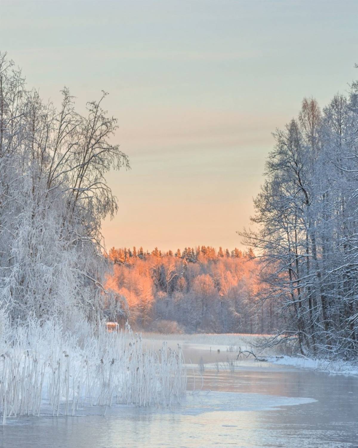 , Петр Косых