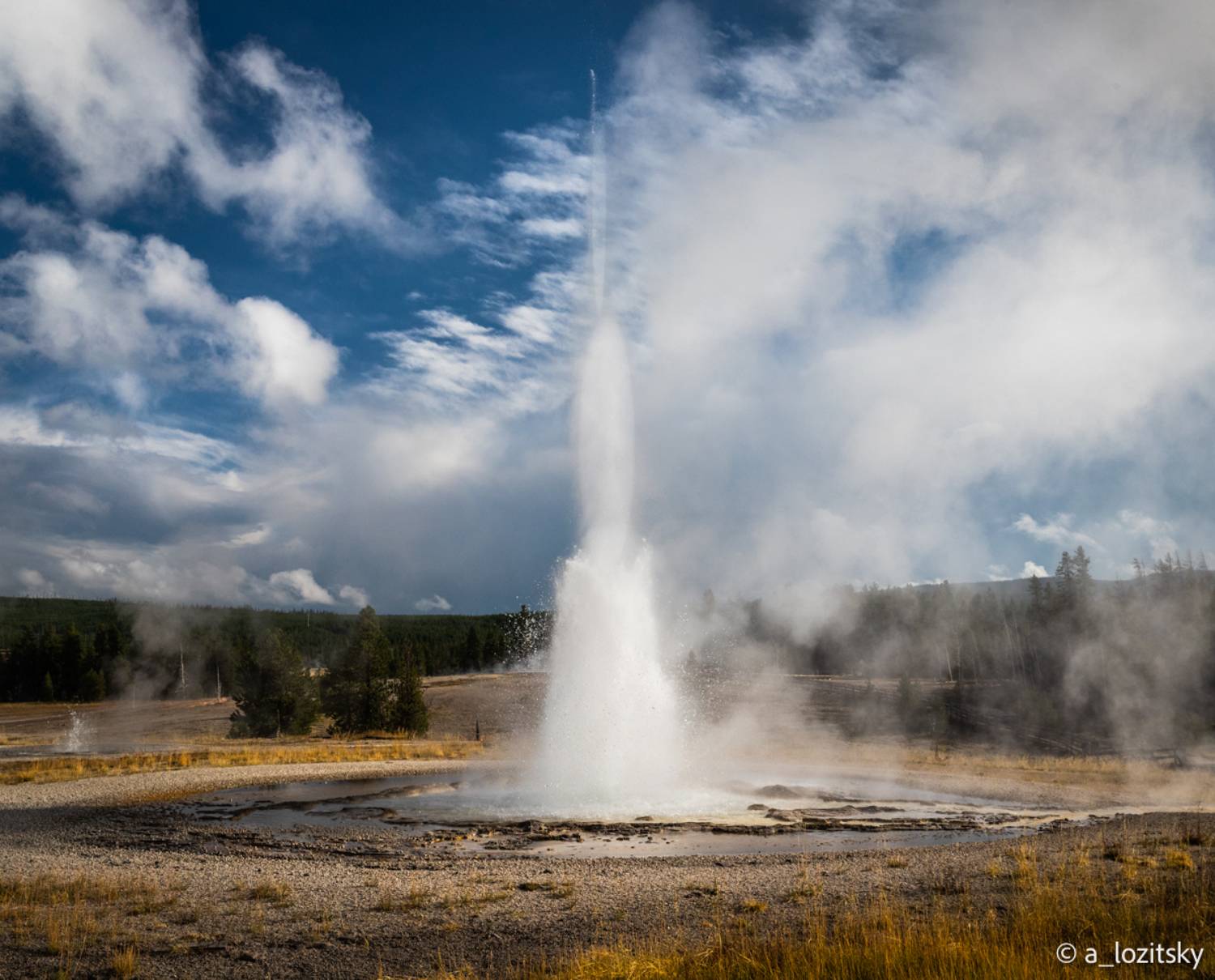 , Лозицкий Александр