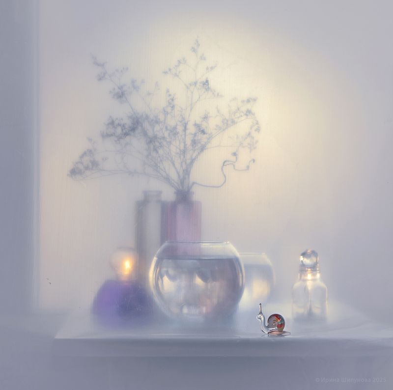 Променад улитки) фото превью