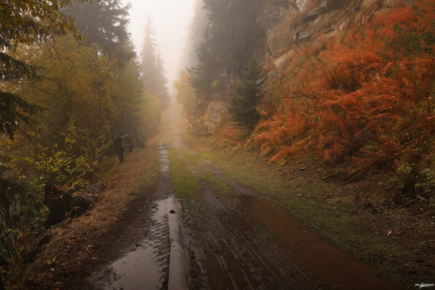 swiss,швейцария,осень,горы,bettmeralp, Матвеев Николай
