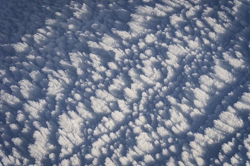 2024 фото превью