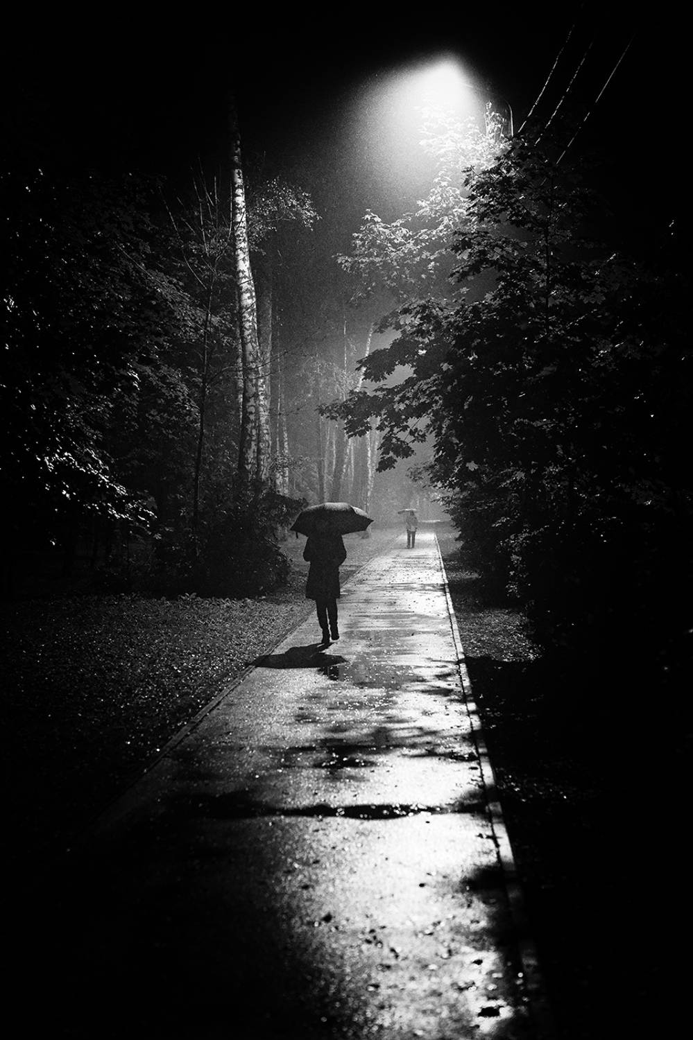 ночь, дождь, фонарь, Олег Есиков