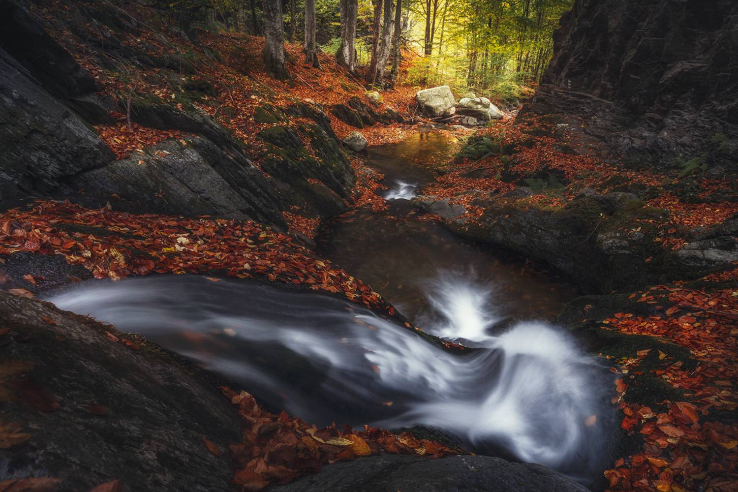 landscape, nature, scenery, forest, wood, autumn, fall, river, mountain, staraplanina, bulgaria, лес, Александър Александров
