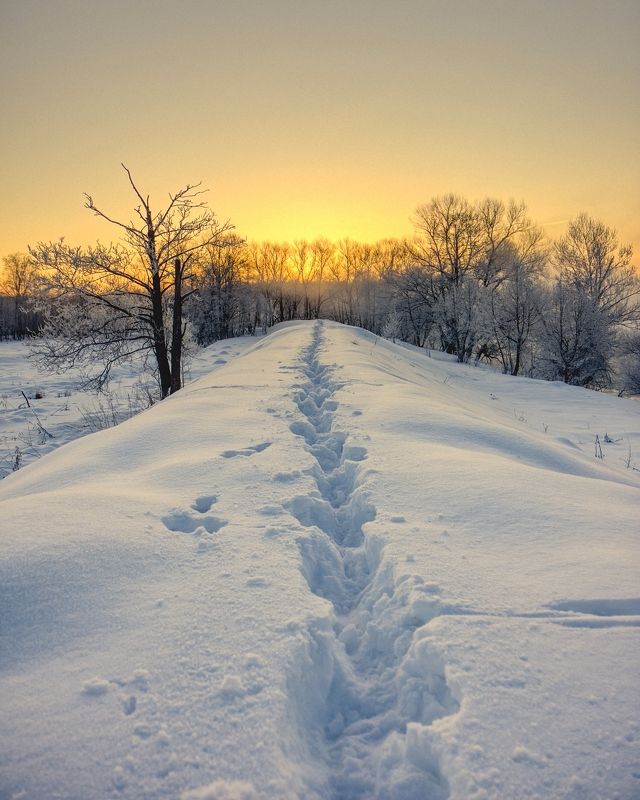 зима река снег солнце восход рассвет следы Глубокие следы фото превью