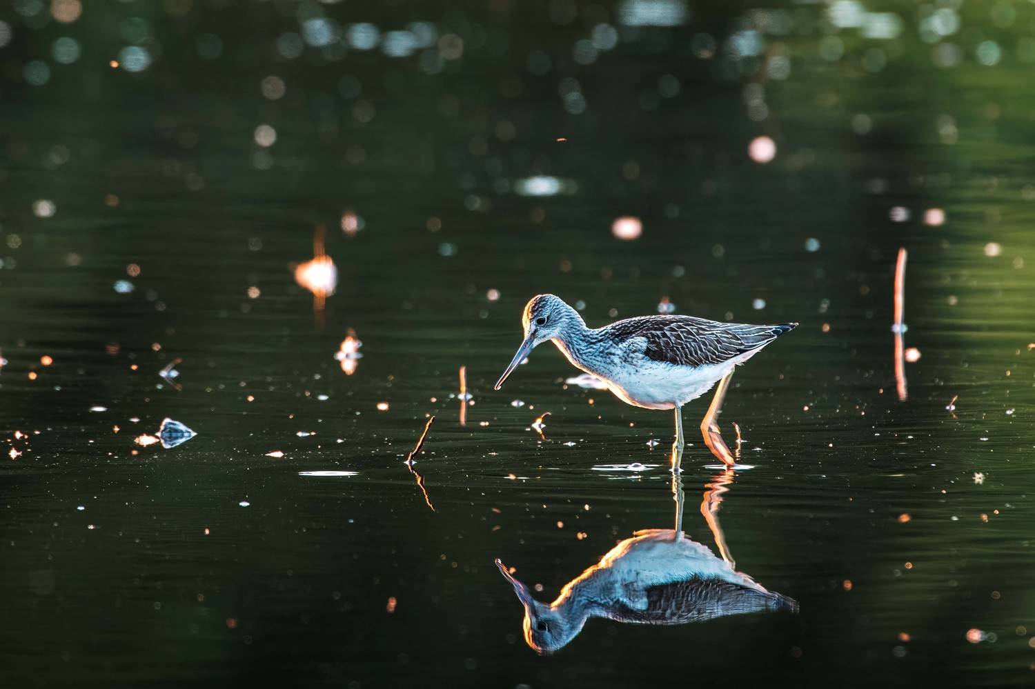 , Павел Ныриков