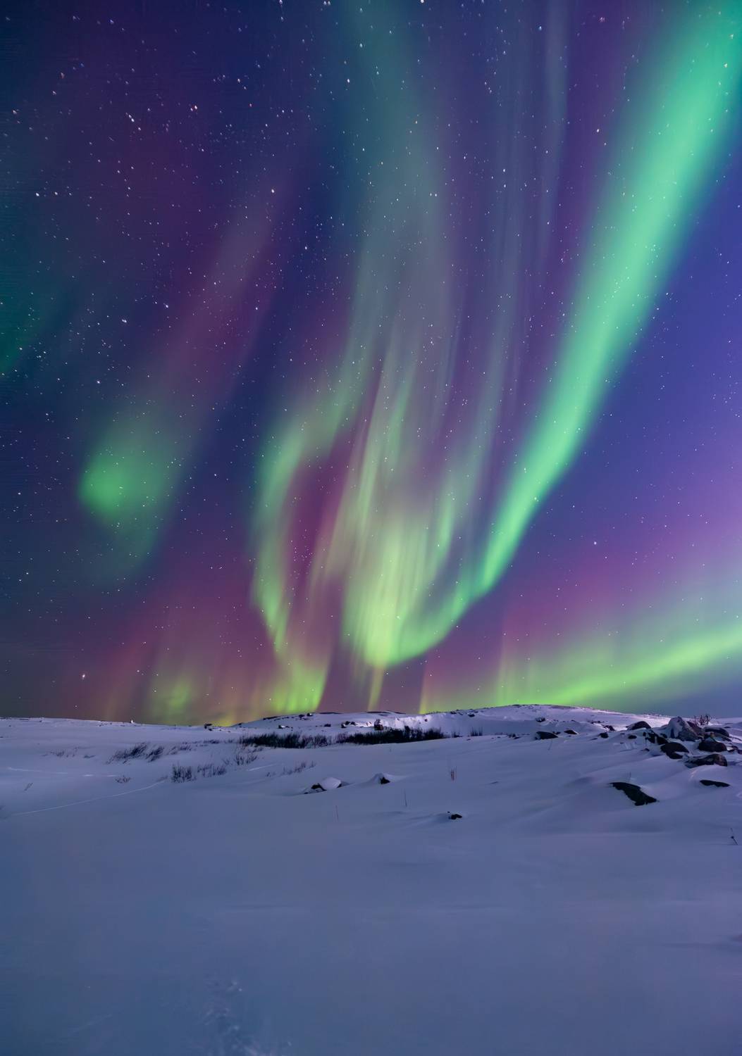 polarlights, northlights, aurora, north, murmansk, Васильева Дарья
