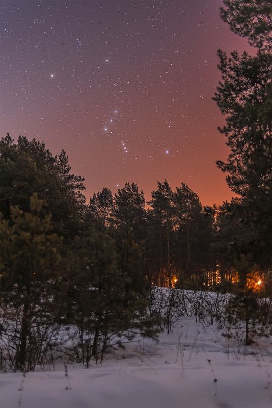 астрофото, астрофотография, ночь, астрономия, астропейзаж, млечный путь, звезды, ночное небо, night, nightphotography, stars, milkyway, longexposure, орион Главный герой зимнего неба фото превью
