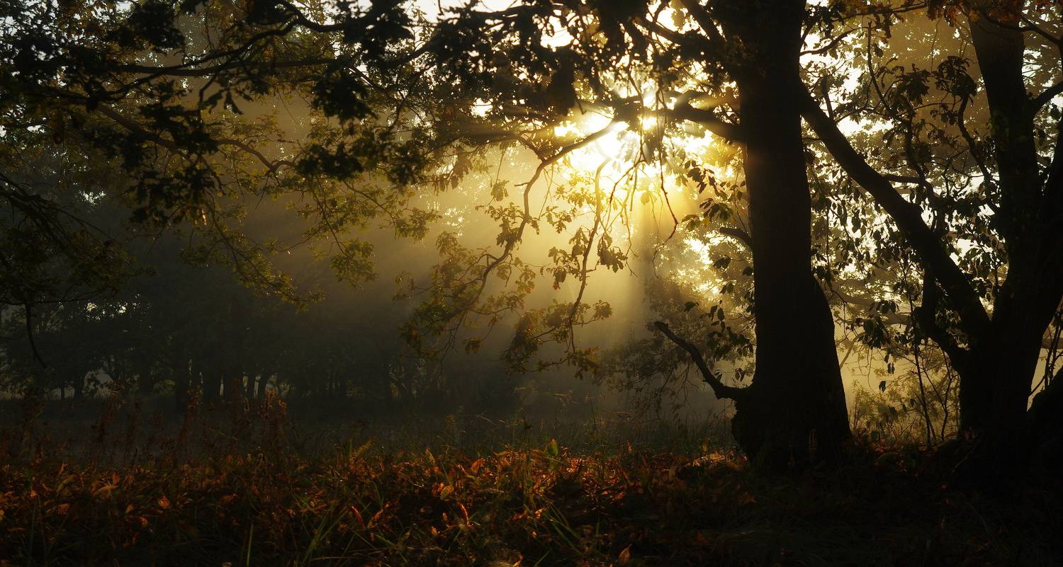 , Шляга Сергей