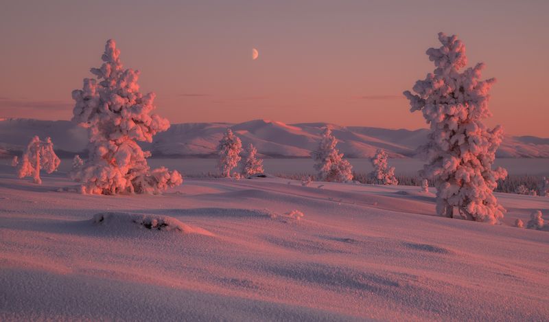 горы , хибины, кольский, север ,россия ,закат, зима, холодно, луна на закате дня  фото превью