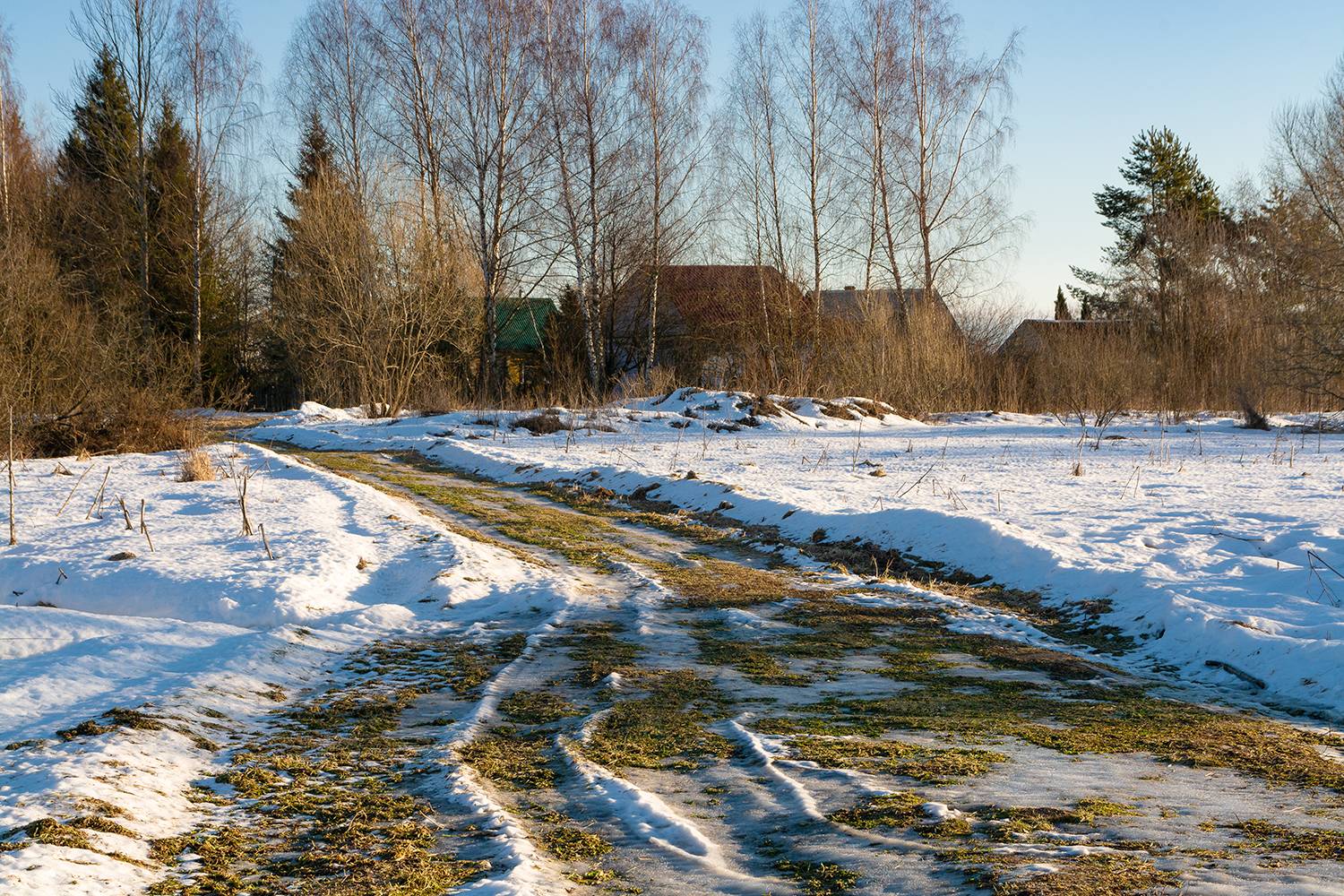 , Дмитрий Асеев