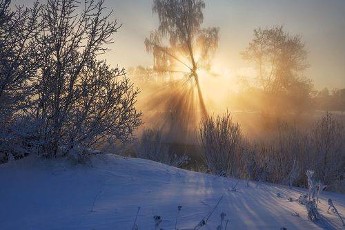 Январское утро