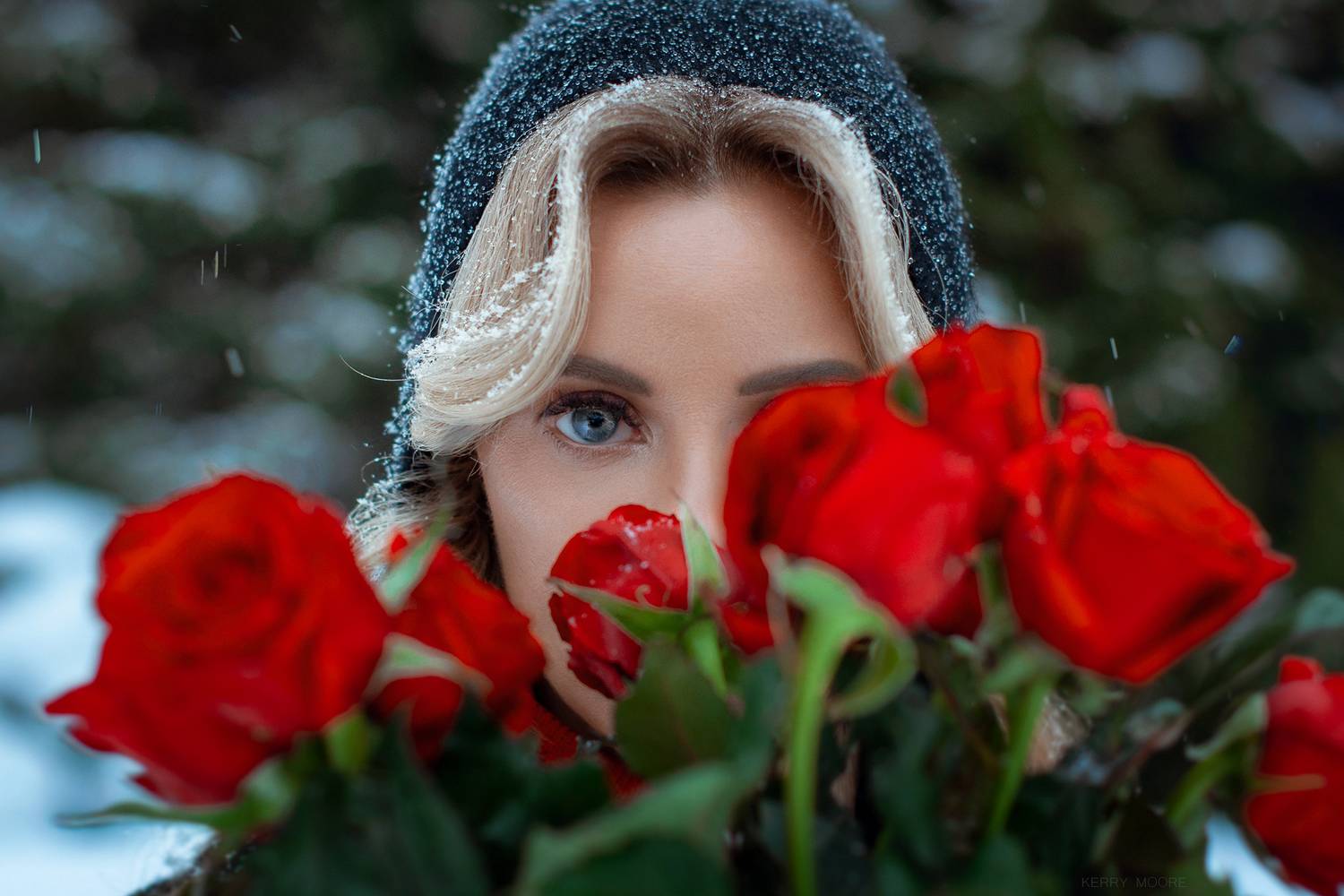 female, portrait, rose, beauty, cold, winter, snow, girl, woman, shot, nikon, 50mm, emotional,  Kerry Moore