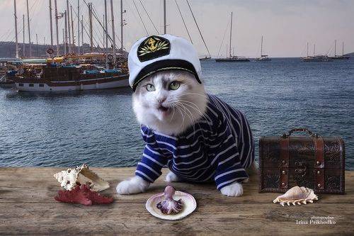 - Это моя добыча!