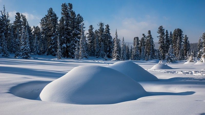 ергаки, луг, сугробы, снег, зима, ели Сторожевые сугробы фото превью