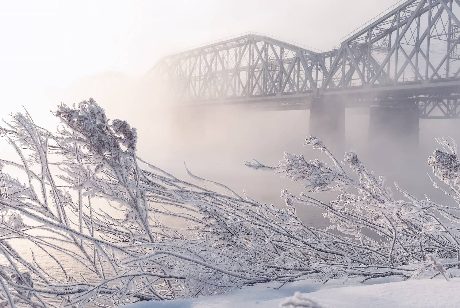 зима, мороз, мост туман, жд мост, енисей, красноярск, Фомина Марина