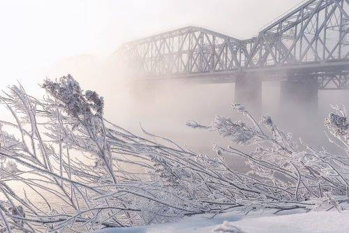 Железнодорожный мост в тумане