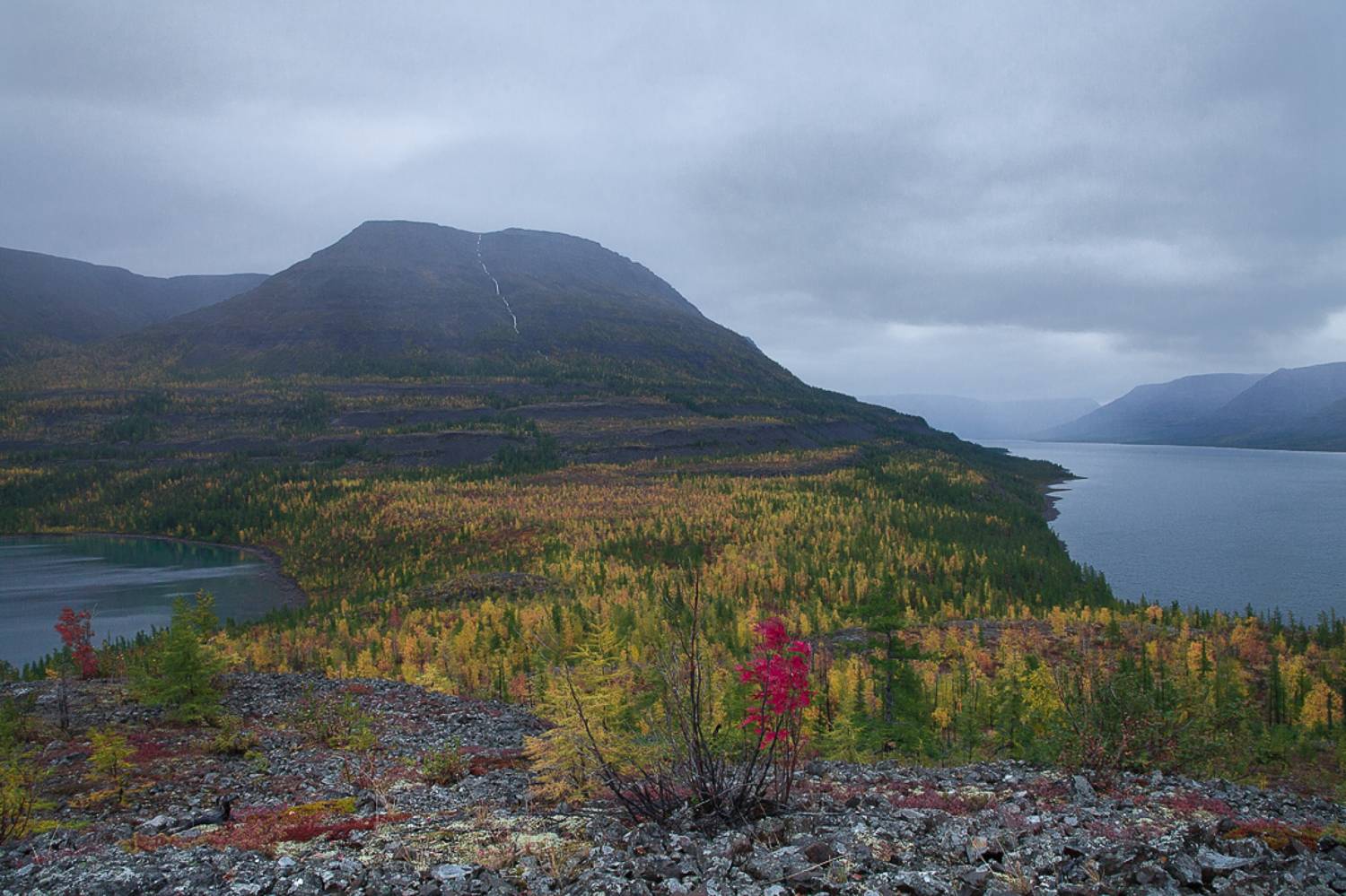 красноярский край, таймыр, плато путорана, озеро лама, осень., Сергей Захаров.