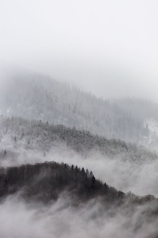 зима, снегопад, горы, зимний пейзаж *** фото превью
