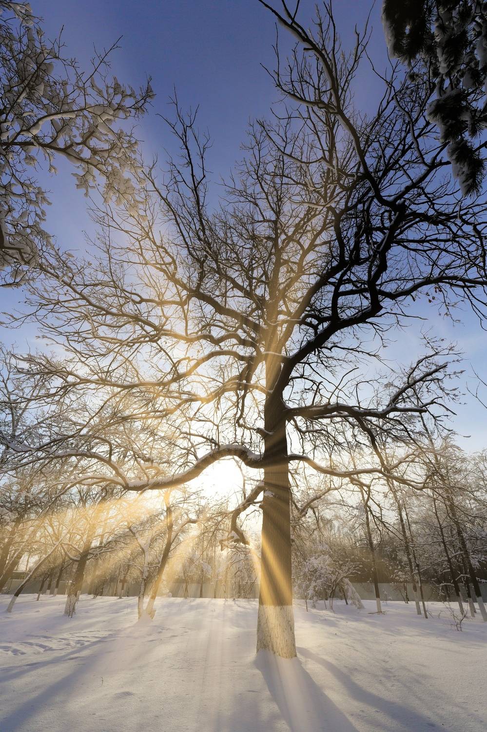 пейзаж, Murat Kuzhakhmetov