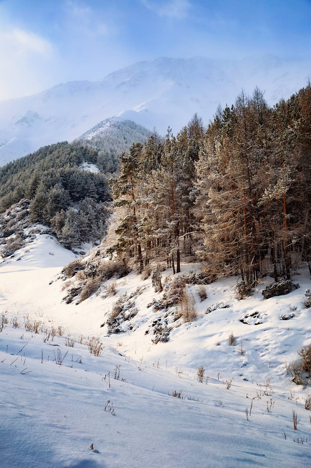 кыргызстан, урочище чункурчак, Элина Магалимова