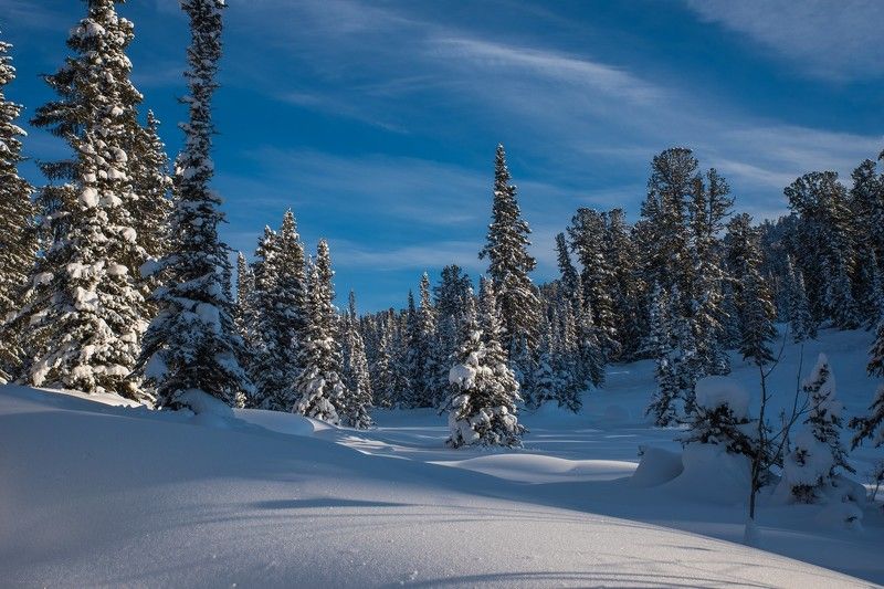ергаки, озеро, ручей, светлое, светлый, зима Окрестности ручья Светлый фото превью