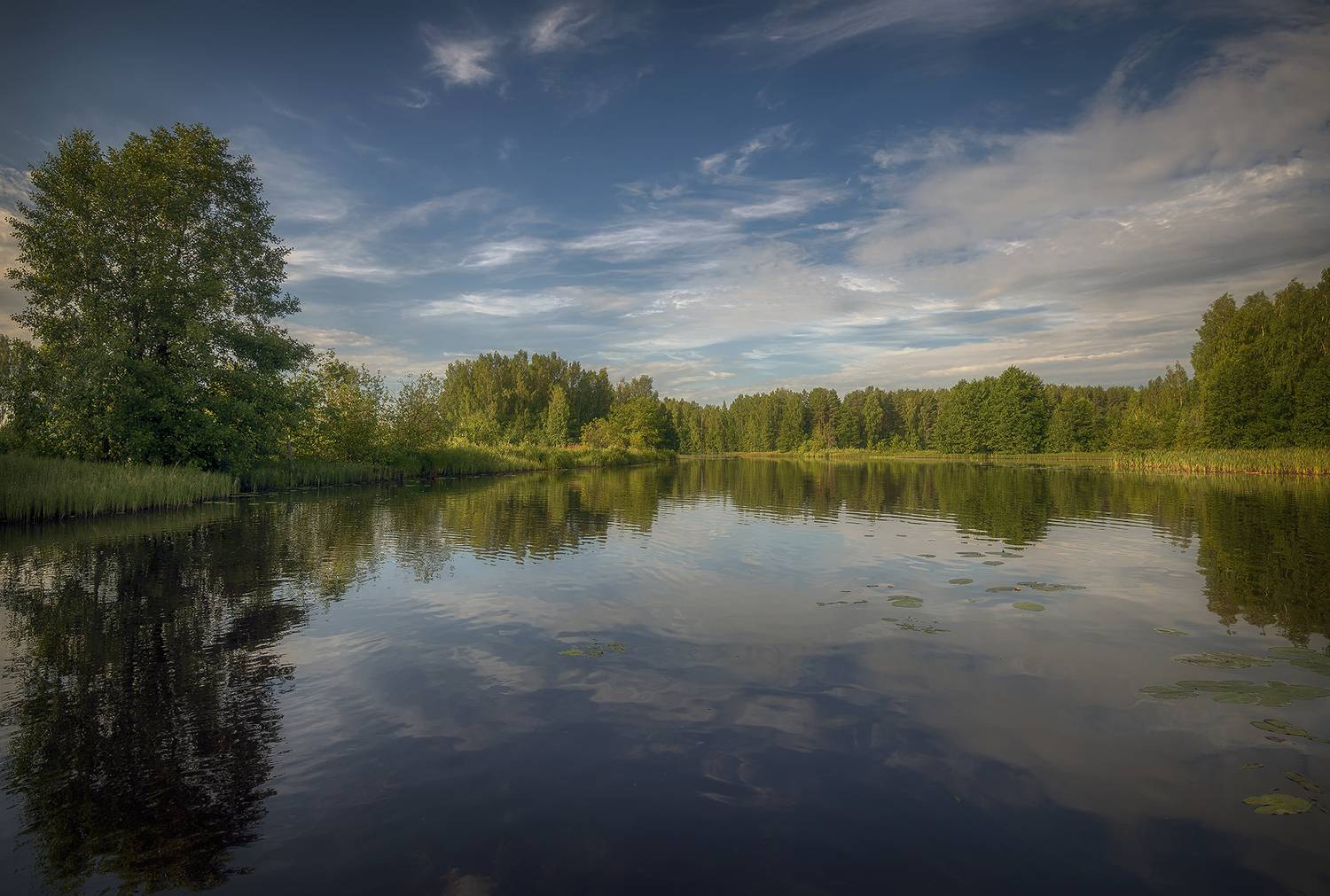 , Сергей Аникин