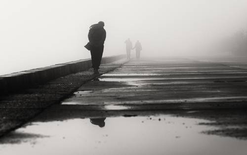 Туманные встречи.