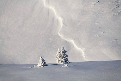 Зимний минимализм