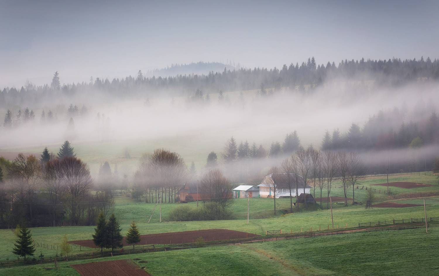 Carpatian, mountains, morning, spring, Матюшенков Евгений