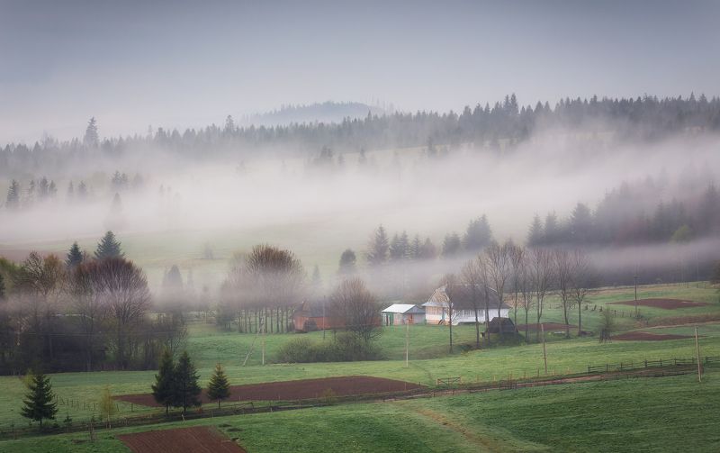 Карпаты просыпаются фото превью