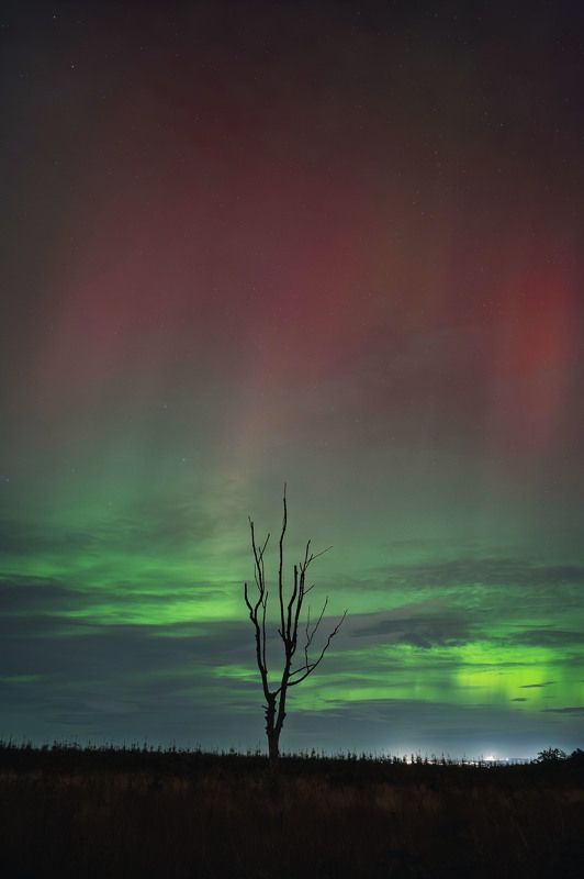 Northern lights, aurora  фото превью