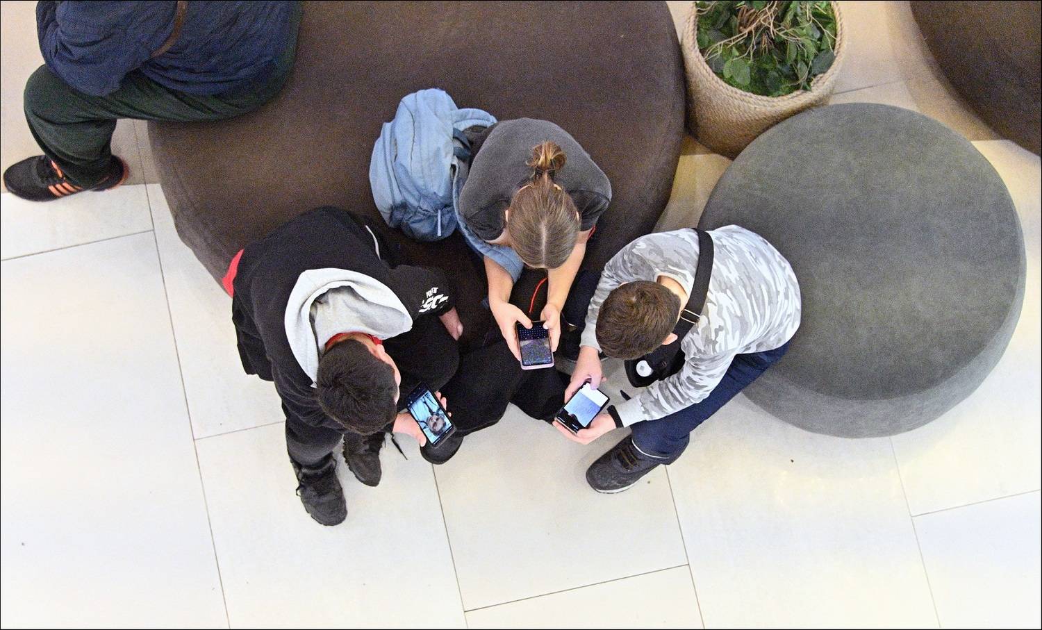 , Меднов Влад