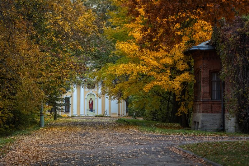 Осень. Знаменка. Осенняя Знаменка. фото превью