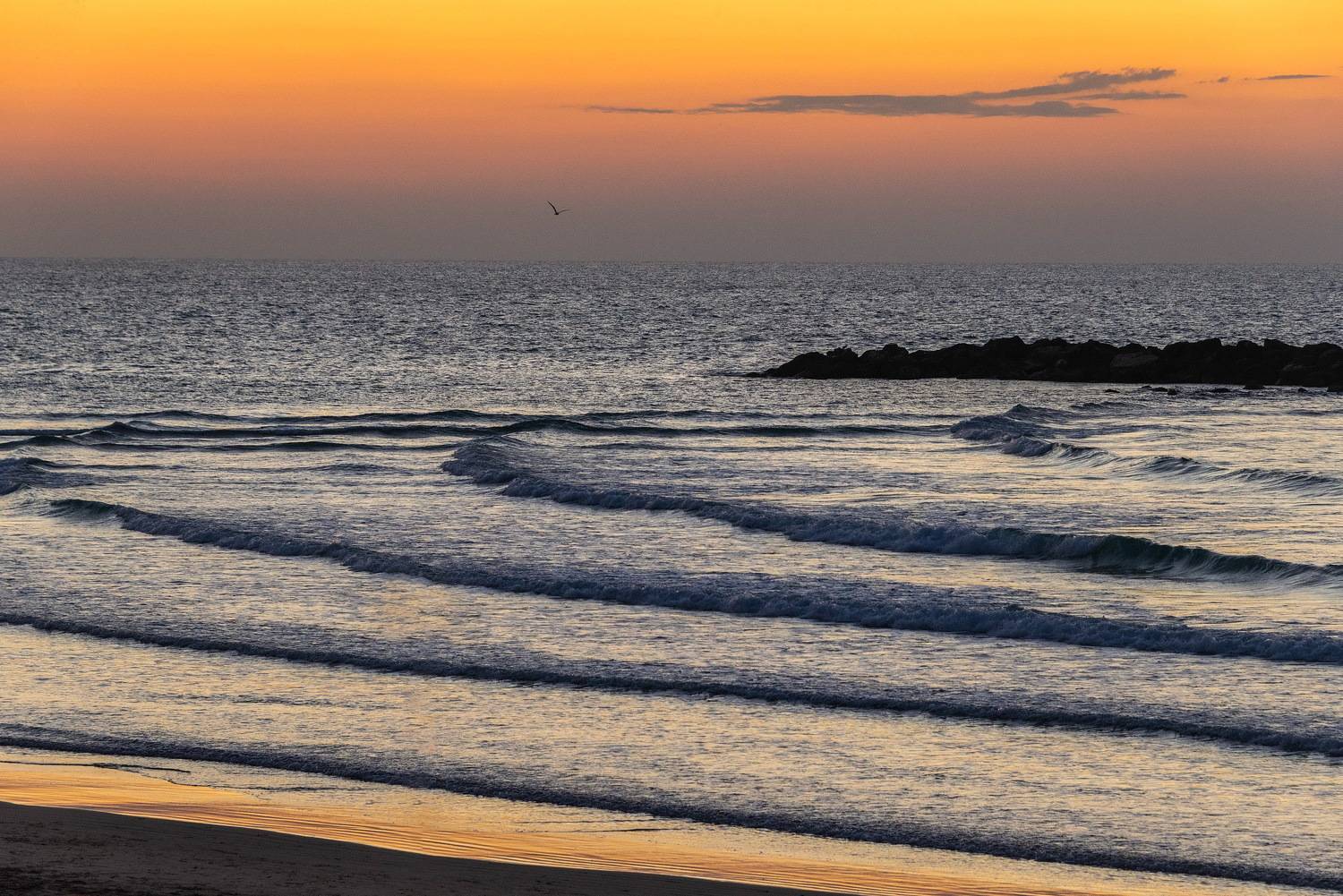 , Vladimir Bragilevsky