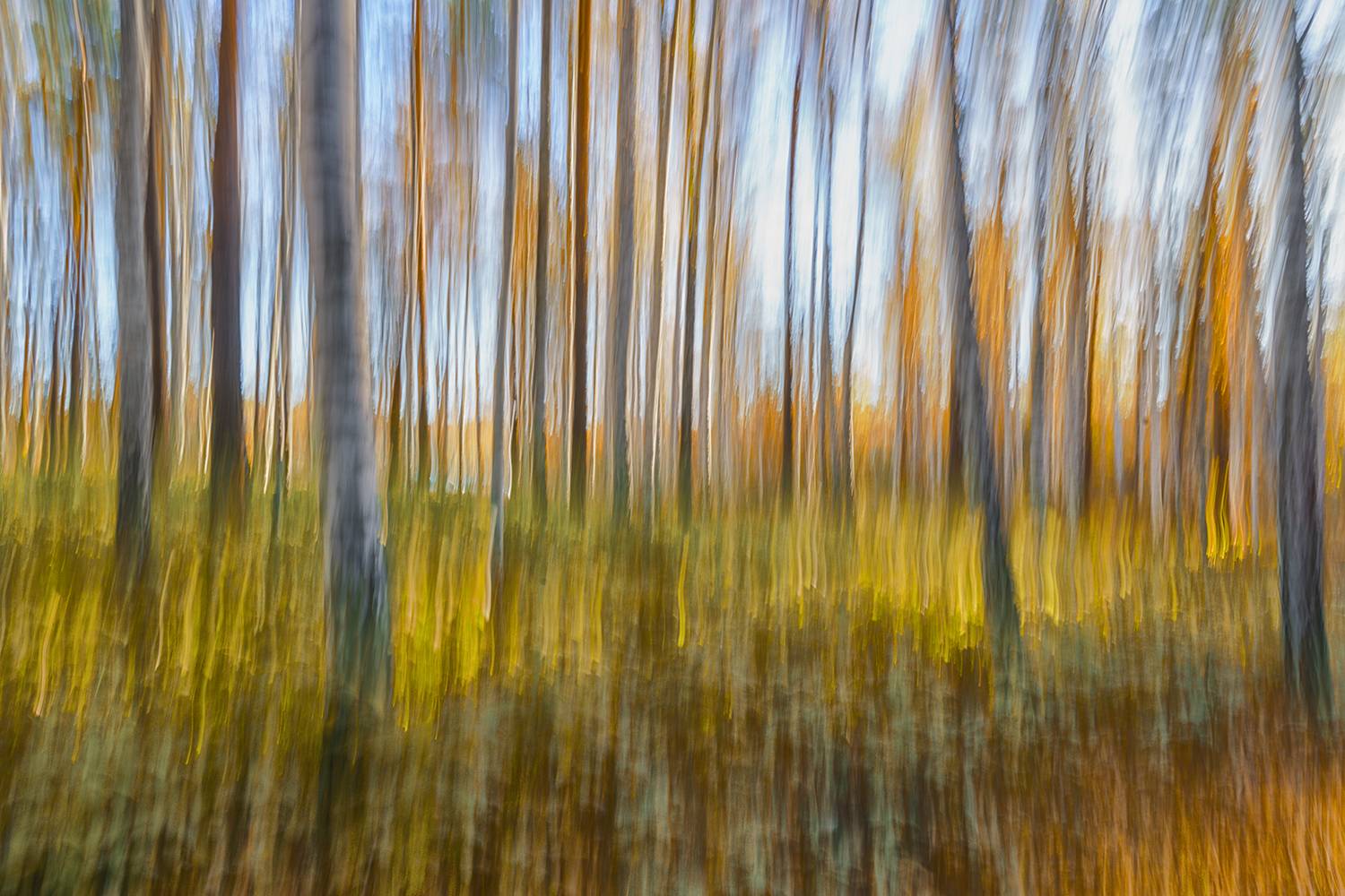 , Лариса Дука