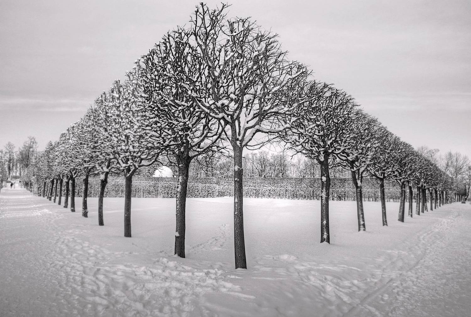 , Сергей Григорьев