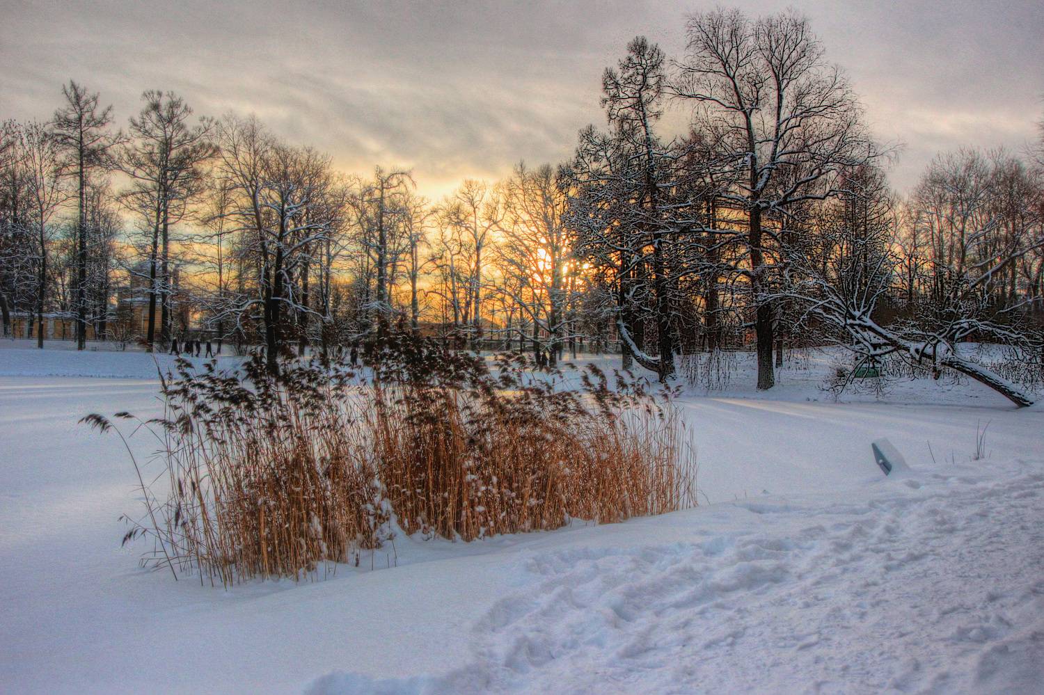 , Сергей Григорьев