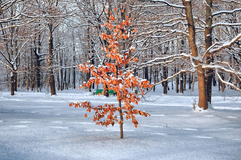 चेतदपि गमिष्यामि фото превью